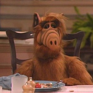 djmazzafakka's tweet image. i v€rd€ T€yl€r 1 mixt@pe zum geburt$t@g m@ken

#Melmac #Chronicles #3 💯