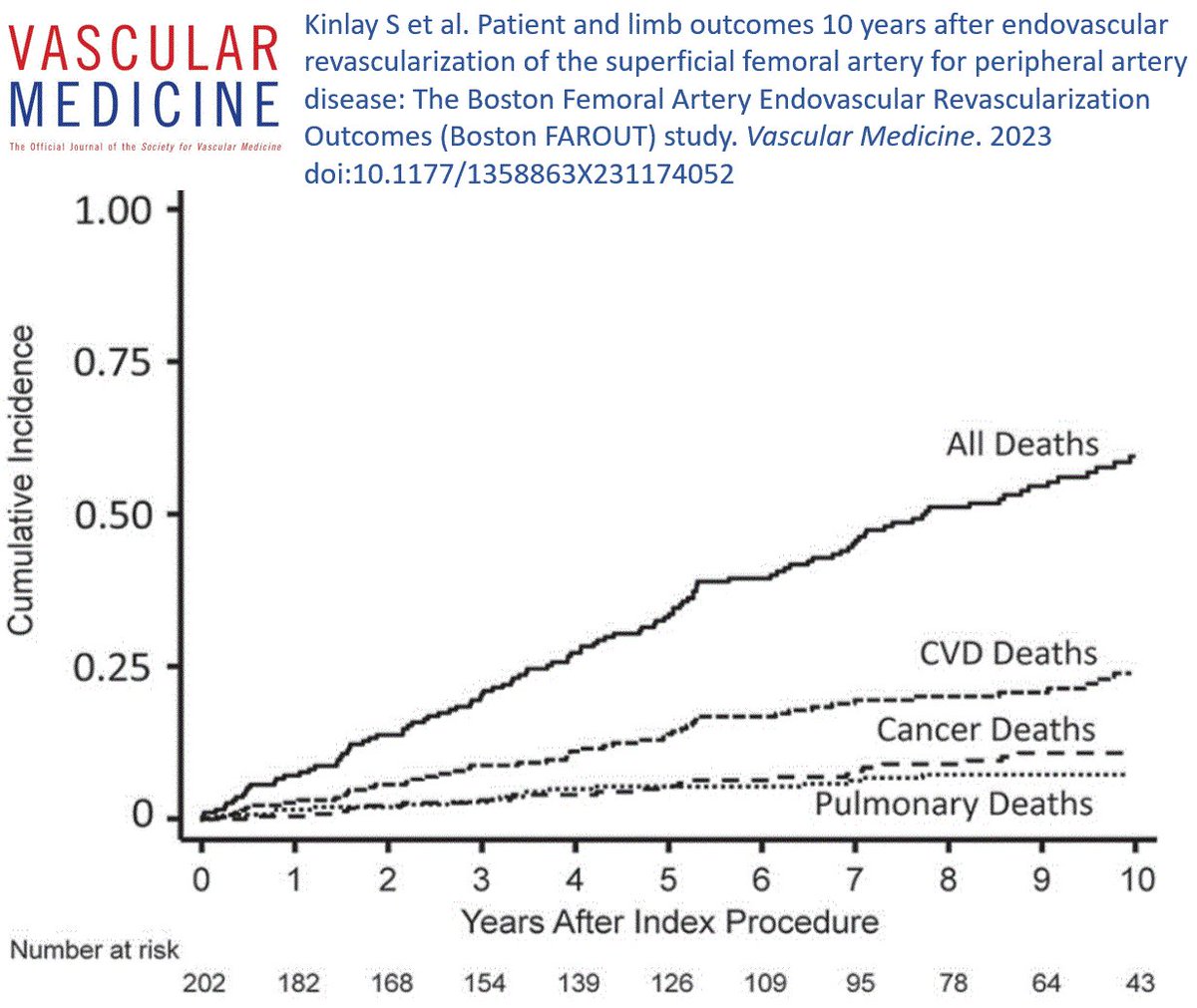 VascularMedicine (@vmj_svm) on Twitter photo Online First! <a href="/Scott_Kinlay/">Scott Kinlay</a> and colleagues share clinical outcomes ten years after endovascular revascularization of the superficial femoral artery in patients with peripheral artery disease.
#PAD #VascularTwitter
ow.ly/EcCZ50OxaWt Online First! <a href="/Scott_Kinlay/">Scott Kinlay</a> and colleagues share clinical outcomes ten years after endovascular revascularization of the superficial femoral artery in patients with peripheral artery disease.
#PAD #VascularTwitter
ow.ly/EcCZ50OxaWt