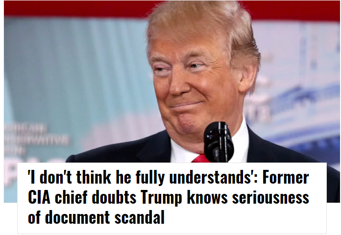 Well, hell.  Does it LOOK like this phucking wanker understands anything?  He should either be in a mental institution or out on a ledge somewhere.
rawstory.com/trump-doesnt-c…