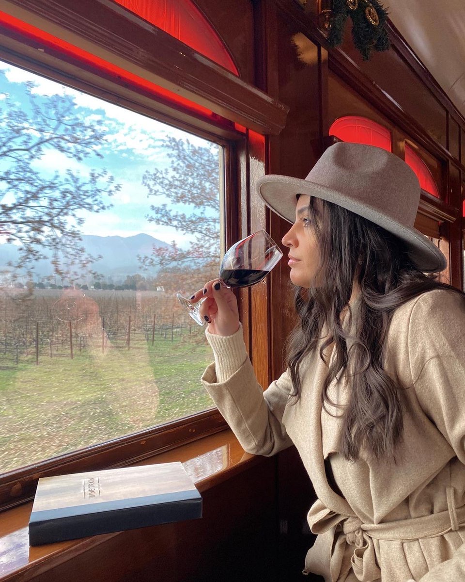 RT @winetrain: Wine flies when having fun.🍷 

📷: sheiva 

#NapaValley #VisitNapaValley