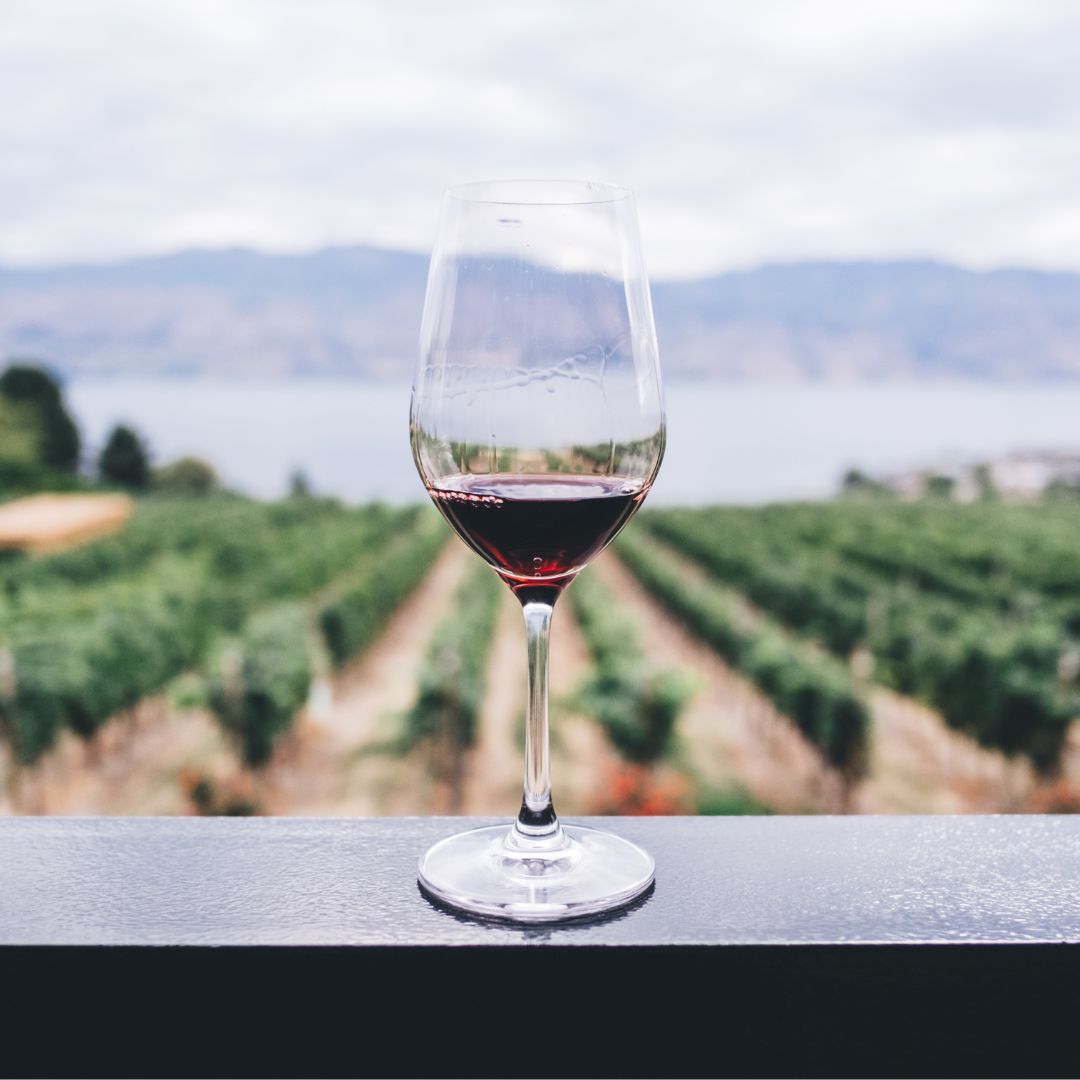 Celebrating National Wine Day and appreciating the beauty of a winery!
.
.
.
.
#nationalwineday #wine #morewineplease #jewelry #jewels #stones #necklace #bracelet #earrings #artisanjewelry #nature #inspiration #jdstyle #ruggedelegance
