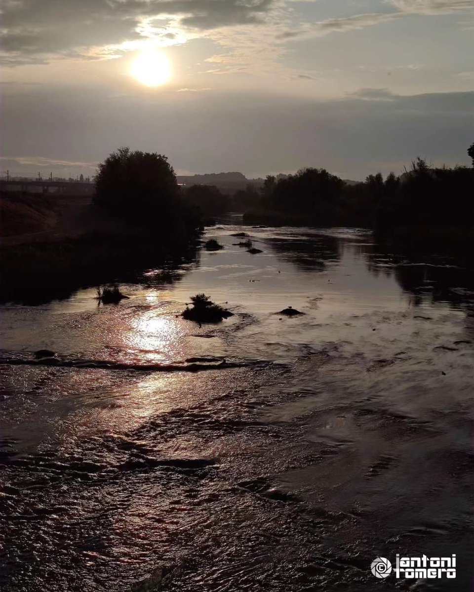 JAntoniRomeroR's tweet photo. Capvespre al riu Segre
Lleida
@paerialleida @turismedelleida @aralleida @PostureigLleida #riuSegre #capvespre #natura #comparteixlleida #primavera2023 https://t.co/89NHhU5G5Z