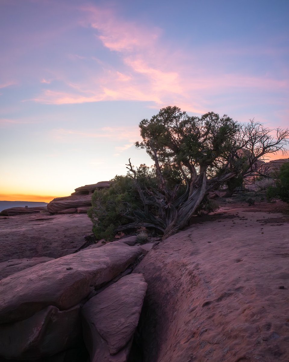 From a beautiful evening at Canyonlands