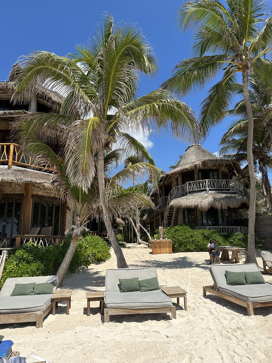 mdee1967's tweet photo. Just your average Thursday in #tulum https://t.co/0LJluNEewJ