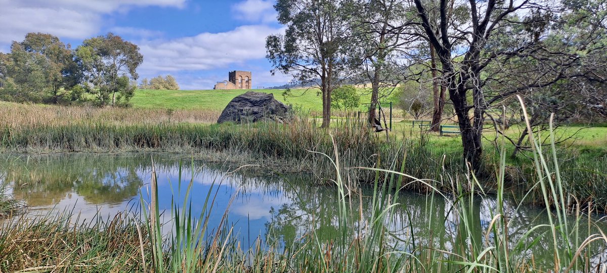 In a wonderful example of ecological restoration Lake Pillans in Lithgow is now a functioning wetland system, providing habitat for local wildlife and an effective way to detain floodwater and filter stormwater. Read more in Lithgow Area Local News: lithgowlocalnews.com/2023/05/25/cit…