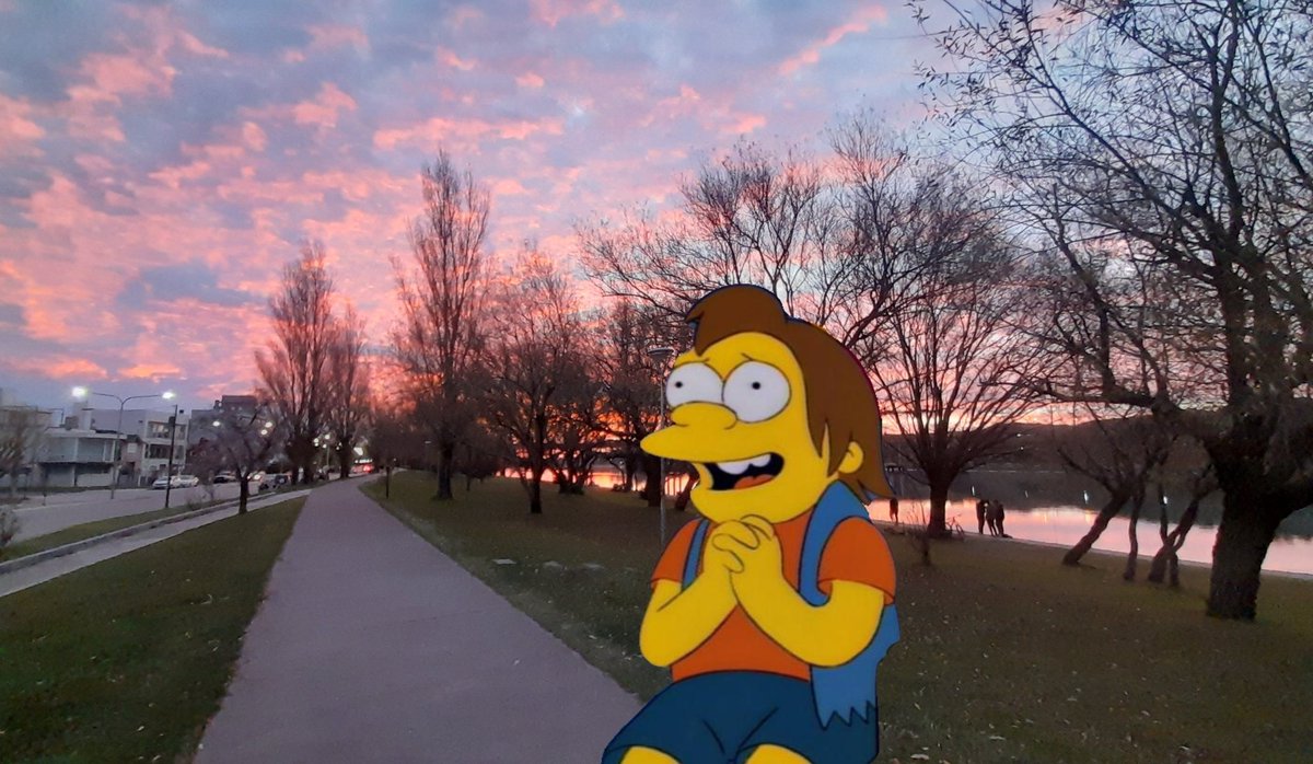 mi mood cada vez q veo el atardecer