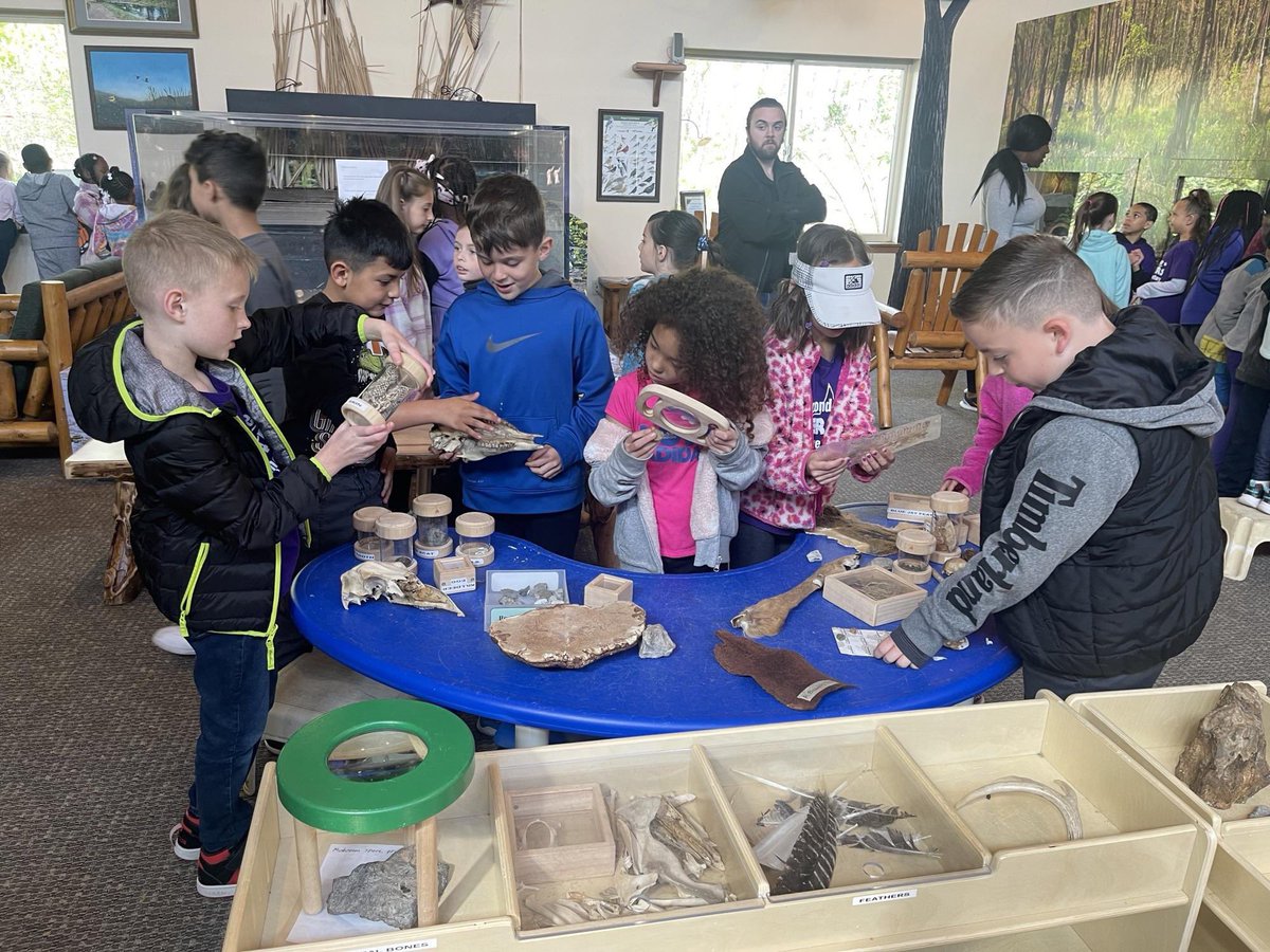 Michelle Goy tweet media