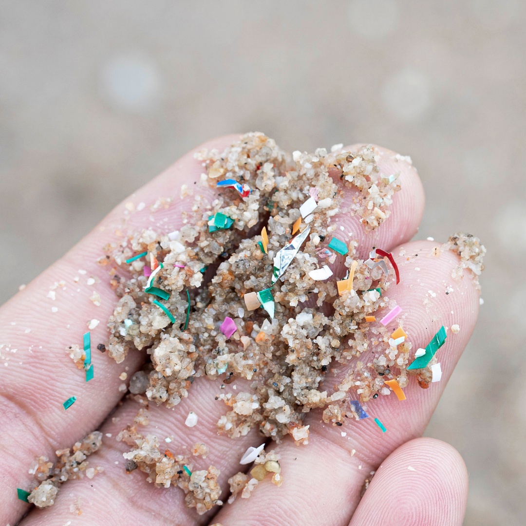 Plastics that enter the ocean break down into #microplastics and are more easily consumed by fish & other marine animals.

By participating in #BeachCleanups, refusing plastic, & disposing of trash properly - we can improve the effects of ocean pollution!