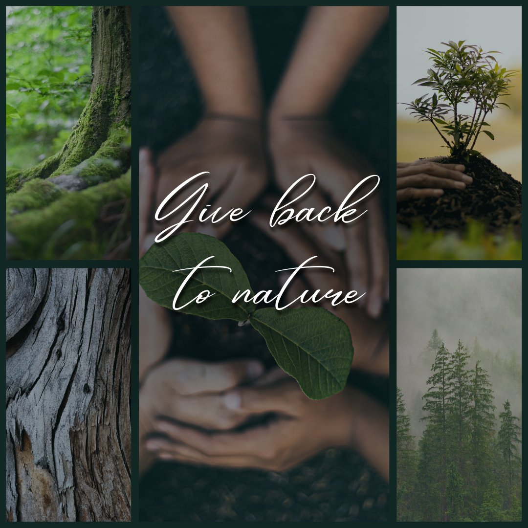 Give back to nature, one tree at a time. Together, let's make a lasting impact by planting trees and nurturing our planet. 🌍💚 Visit our page to discover how we can help you become a guardian of our environment, promoting the growth of healthy and fast-growing trees.