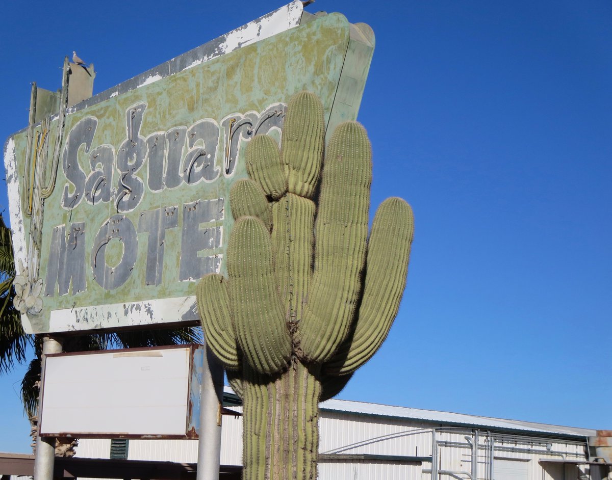 A fading sign &amp; a healthy cactus are what's left of the Saguaro Motel on US 60 in Aguila, AZ, west of Wickenburg. It opened in Feb. 1953 with W. Clyde Gilliland as its manager, according to the Arizona Republic. Mamie Richardson was listed as proprietor of the nearby Aguila Cafe.