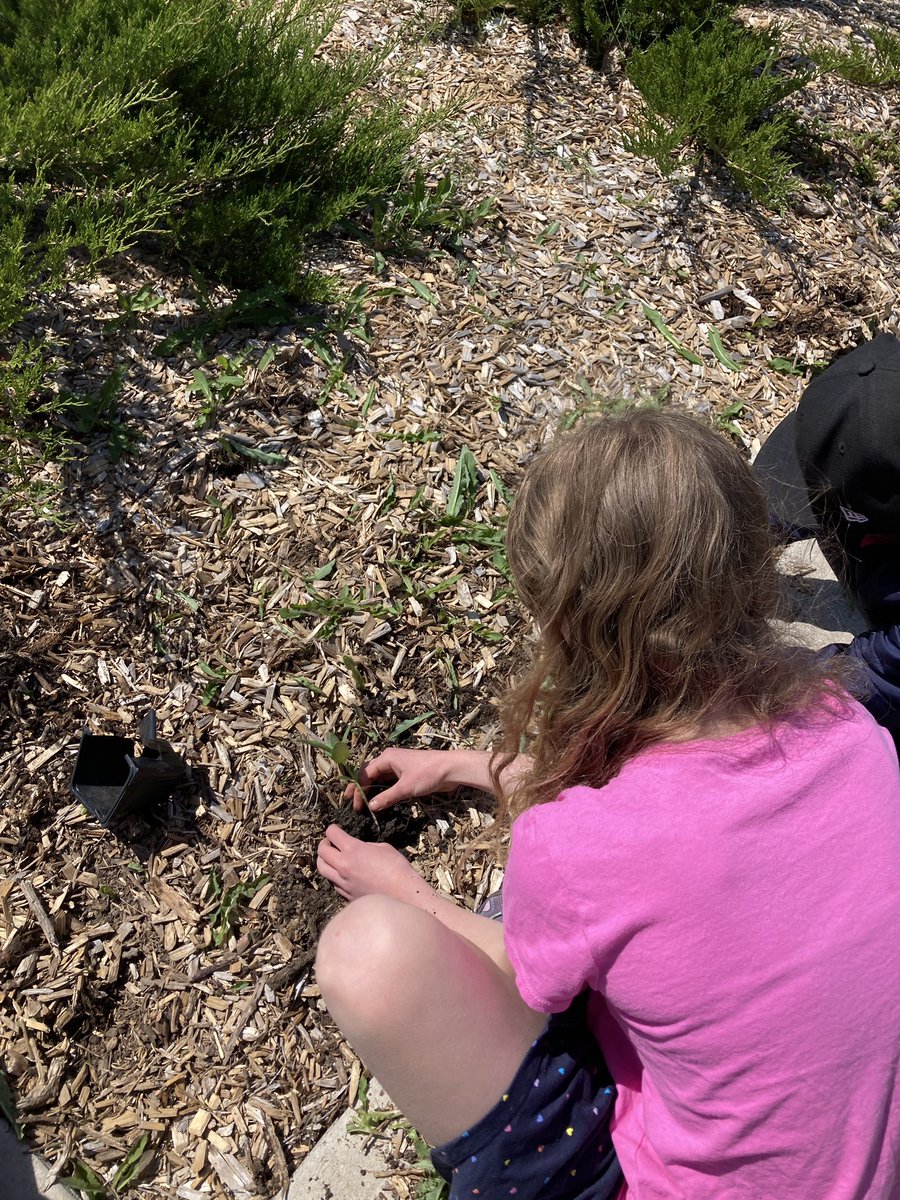 Jodie Maltby tweet media