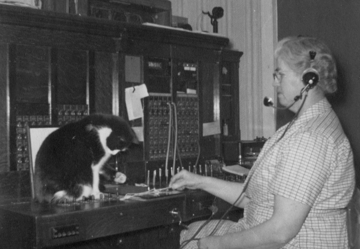 When when Warren Harding died unexpectedly in 1923, nobody could contact Vice President Calvin Coolidge directly because he didn't have a phone at his rural VT home. Here's a cat participating in a dramatic reenactment at the town telephone switchboard. facebook.com/BridgewaterHis…