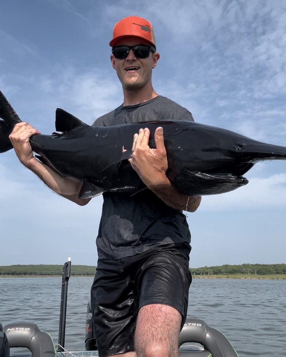 outsider's tweet photo. Fish are aliens. There's no convincing us otherwise.

Read more about this stunning(ly strange) solid black paddlefish: https://t.co/gHDMm8Gh6M https://t.co/A1kowU6FCg