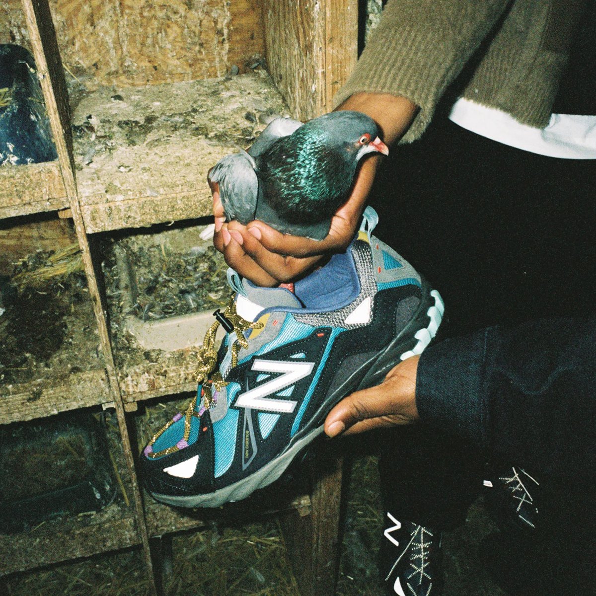 snkrfrkrmag tweet picture