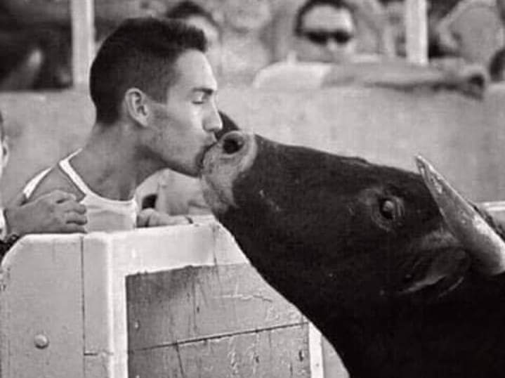 PepePino1188's tweet photo. La foto muestra al criador que lo cuidó desde recién nacido. 

Luego lo vendió y lo llevó al ruedo.
A mitad de la carrera, cuando el toro ya estaba herido y no pudo defenderse más, se dio cuenta de que su cuidador estaba allí y corrió desesperadamente esperando su ayuda, https://t.co/Z7ZvawPWGD