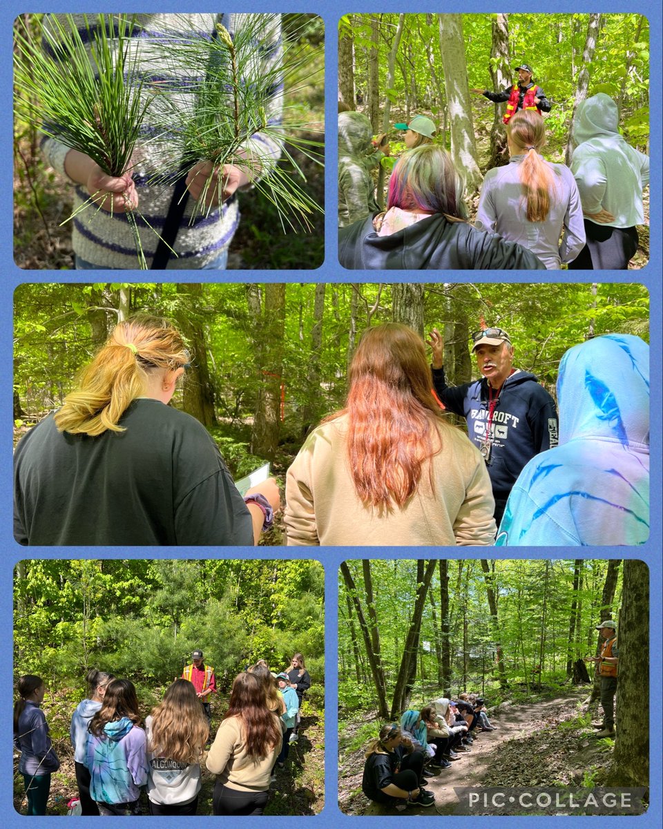 Forestry Day 🌳 @alcdsb_omer @alcdsb