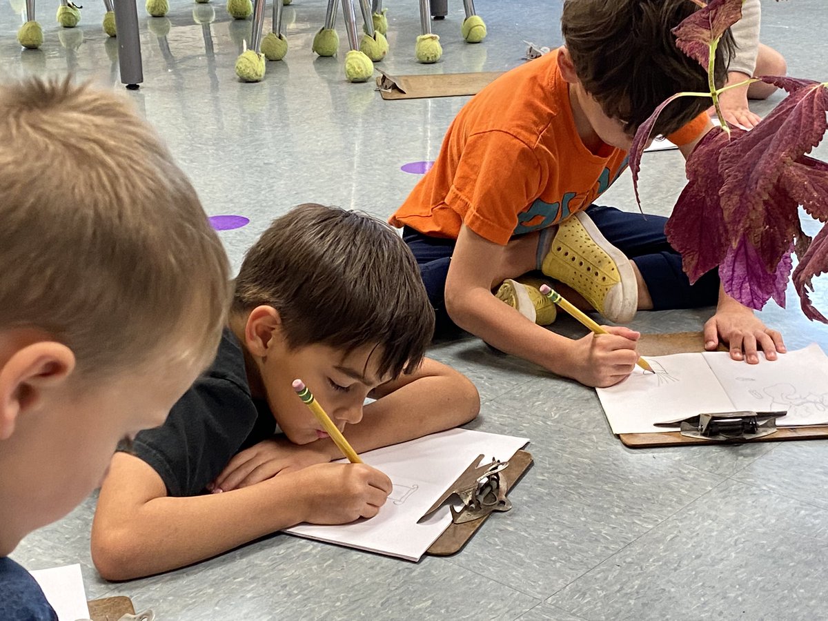 These sunny days have provided wonderful opportunities to #observe like artists and discover details in nature 👀 
#LyonLearners #WeAreD34 #outdoorartroom #SHoM #TABchat