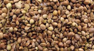 BudVizion tweet media