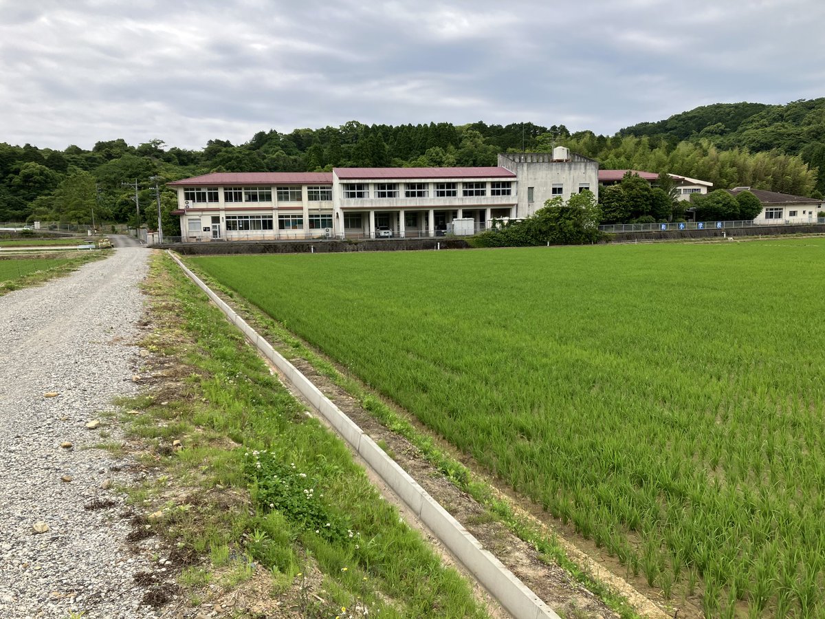 kanetixyan's tweet photo. 蛍、100 選県内。だった場所。カワニナがたくさん https://t.co/CvduzWraNK