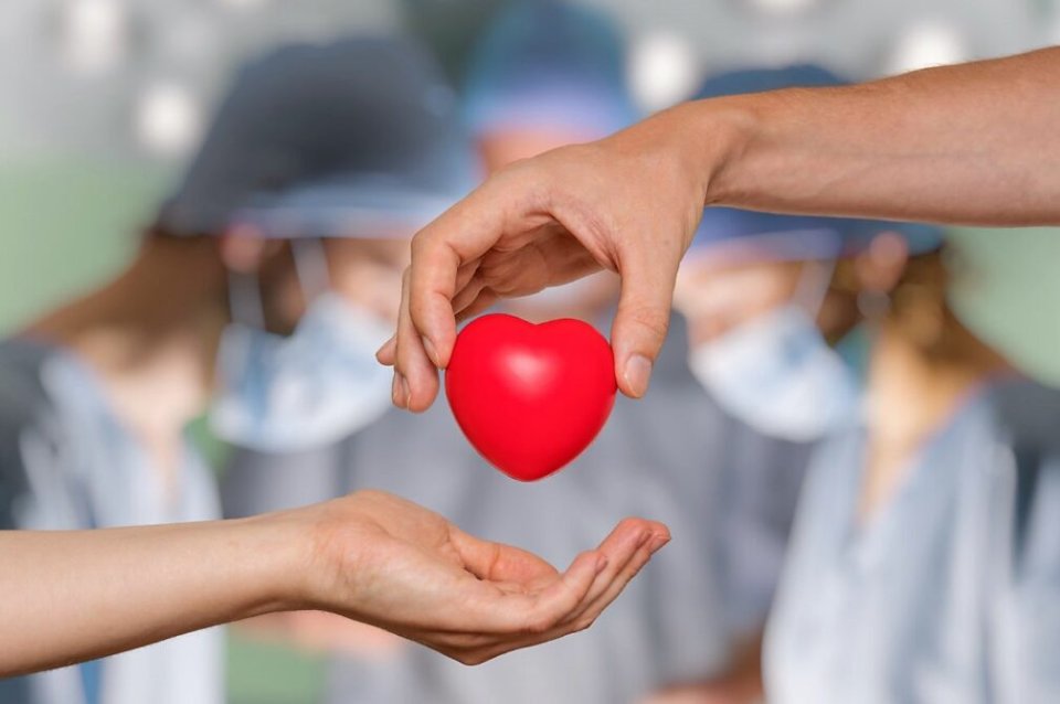 radiolt10's tweet photo. #CUDAIO | Actividades por el Día de la Donación de Órganos ► https://t.co/6JmC6bcexB https://t.co/WlvvonG5r0