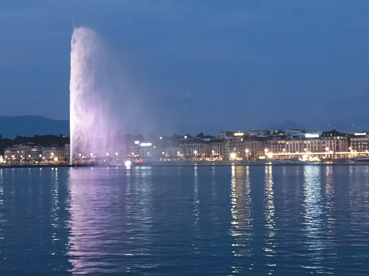 What a nice relaxing day in Geneva after the great #VICS_PAGES workshop! Looking forward to meeting @LucaCaricchi and giving a talk at @MAGEvolcano @sciences_UNIGE tomorrow about the anatomy of Ciomadul, a long-dormant 'PAMS' volcano!
