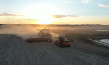 Sask Beef tweet media