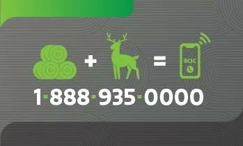 Sask Beef tweet media