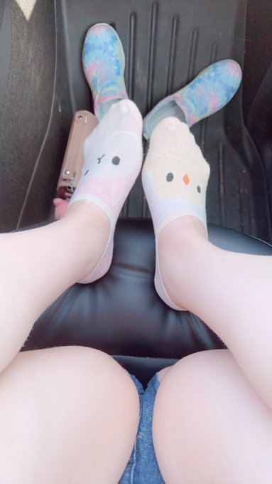 Bunny and chicken socks https://t.co/Du8DaXkXix