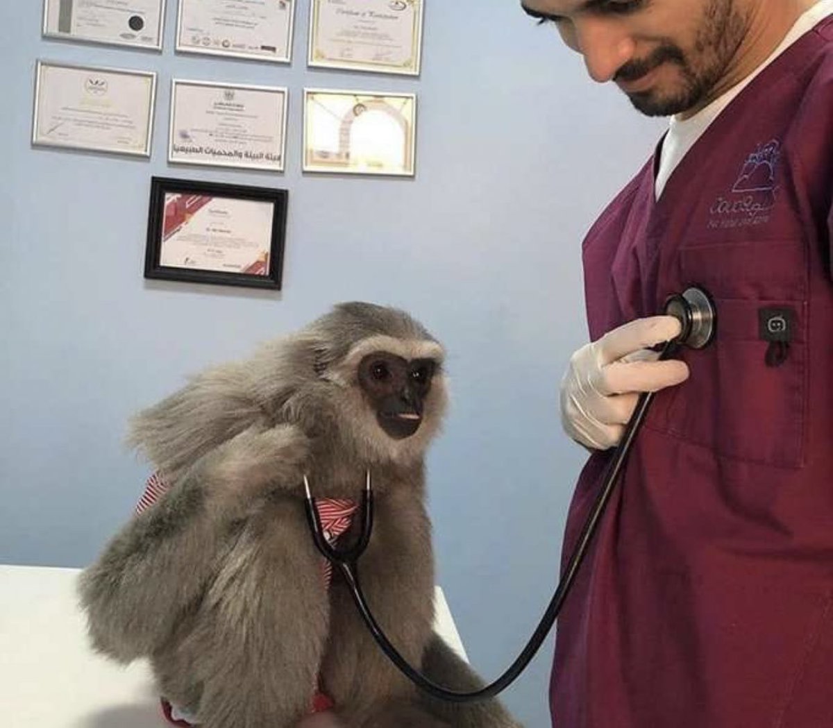 ꧁꧂ (@eat5g) on Twitter photo 