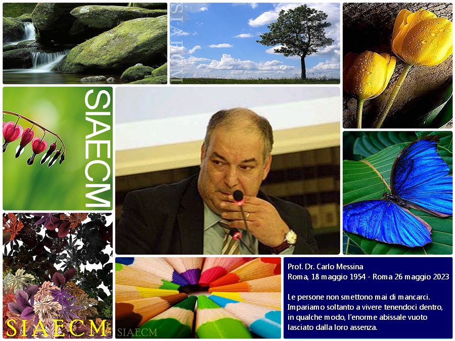 I colleghi, gli amici tutti commemorano oggi la scomparsa di Carlo Messina con sincero e perpetuo ricordo.
A.C.