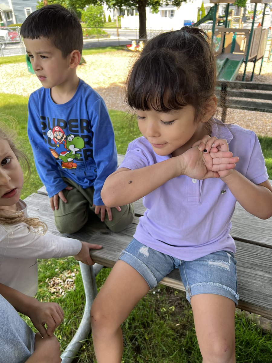 DirectorMECC's tweet photo. We’ve also been releasing ladybugs all week! https://t.co/PwhvUW18Jz