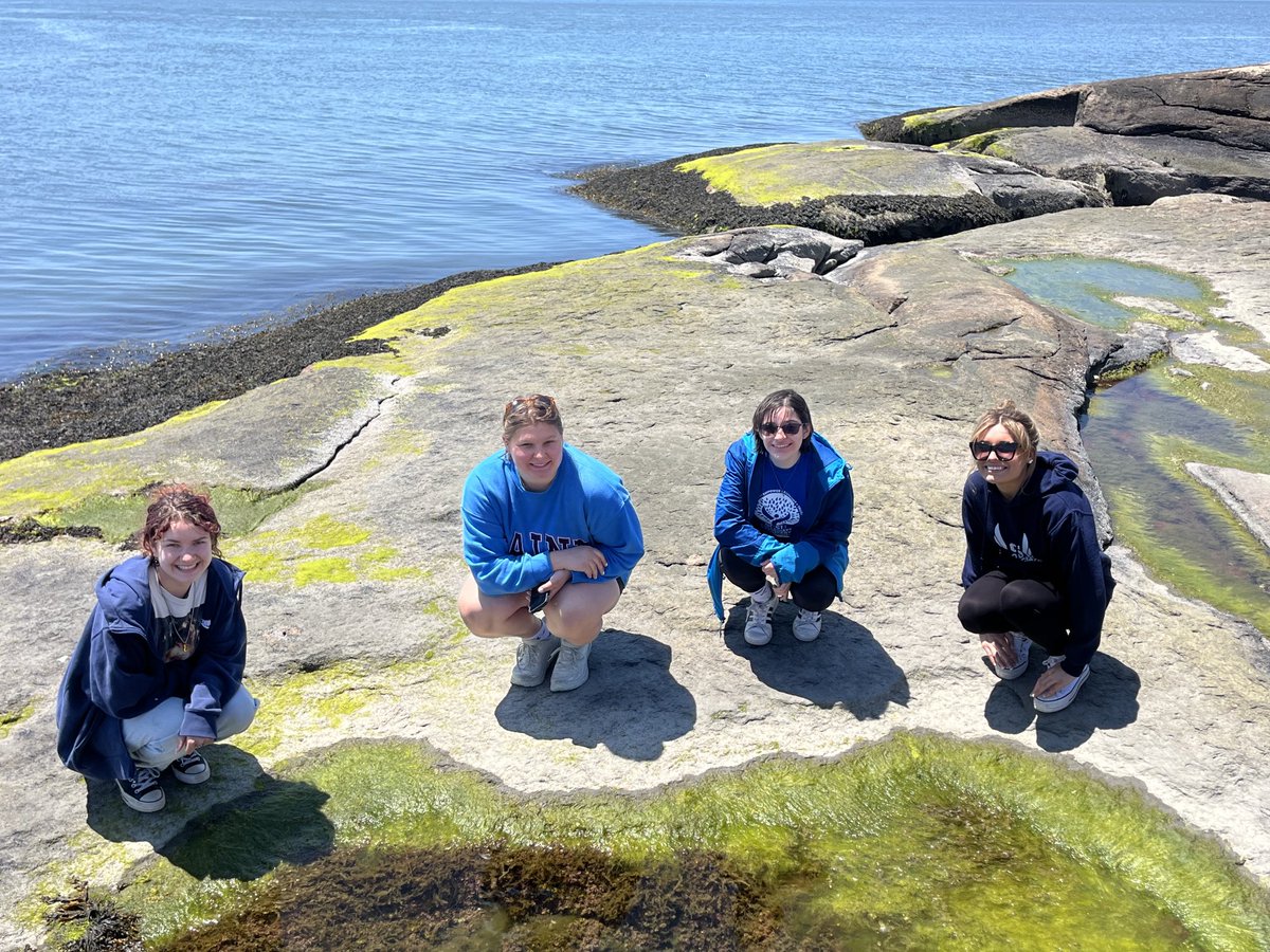 ⁦<a href="/Werth_Center/">Werth Center for Coastal and Marine Studies</a>⁩ ⁦<a href="/SCSUEGMS/">SCSU EGMS</a>⁩ A great day on Outer Island, Branford CT. Explored the island and conducted water quality measurements with Werth Center summer fellows.