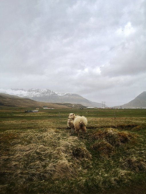 Fluffy, white, brooding.  Grundarfj&ouml;r&eth;ur, Sn&aelig;fellsnes. https://t.co/uSMpyT9yLq<a href="/tag/420day"class="tags"><span>#420day</span></a><a href="/tag/onlyfans"class="tags"><span>#onlyfans</span></a>