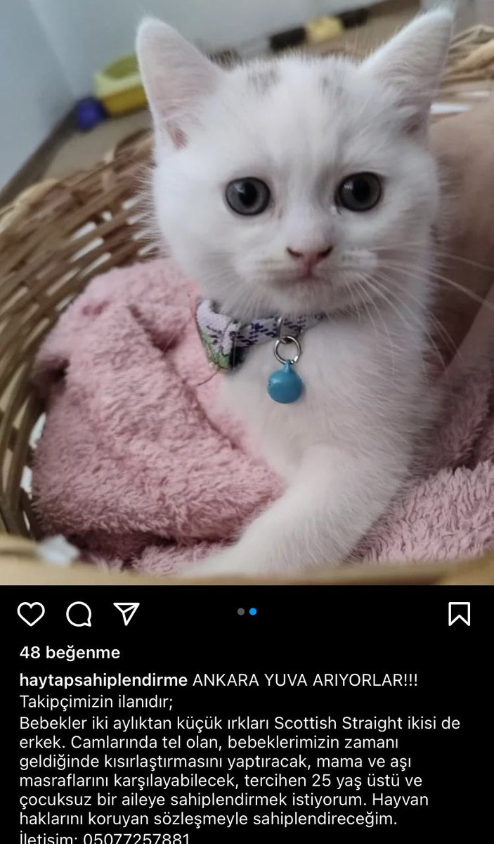 Ankara yuva ilanı🙏🏻