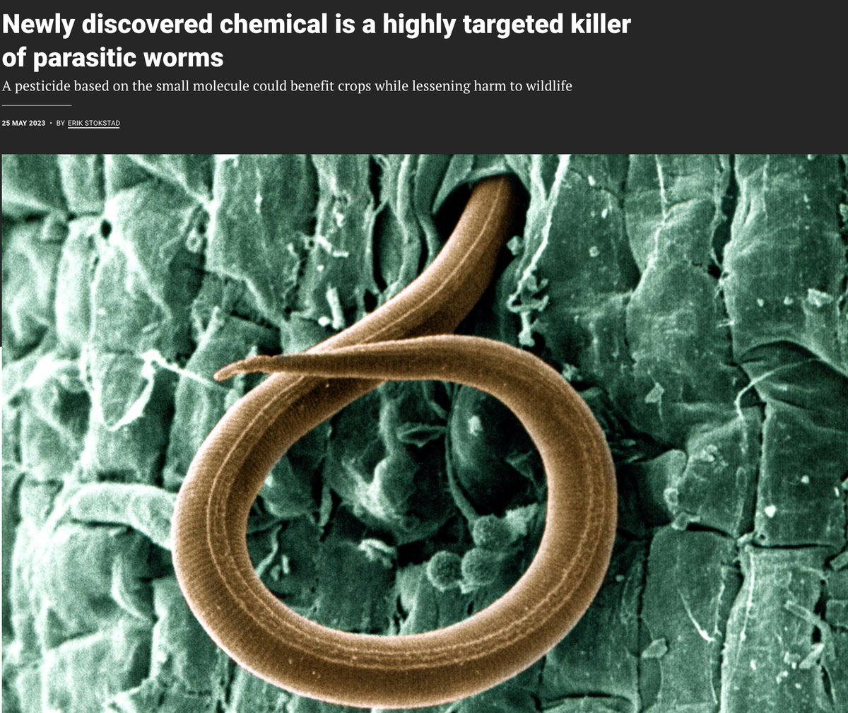 Peter J. Roy (@peterjroy) on Twitter photo Holy Cow! #Science featured our #Nature paper in their News section! Very cool! Thank you <a href="/erikstokstad/">Erik Stokstad</a> for the engaging piece. Check it out here: tinyurl.com/wv89rdb2 Holy Cow! #Science featured our #Nature paper in their News section! Very cool! Thank you <a href="/erikstokstad/">Erik Stokstad</a> for the engaging piece. Check it out here: tinyurl.com/wv89rdb2