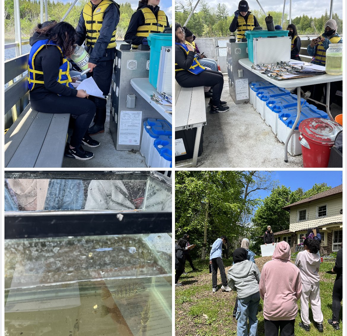 SNC1W students from Father Michael McGivney go to Lake St. George to learn about lake ecosystems- water quality, aquatic life and vegetation around the lake. 🐟 🌳@PathwaysYCDSB @YCDSB @CAD_ycdsb #experientiallearning