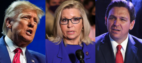 BREAKING: Republican Liz Cheney brings down the hammer on MAGA candidates Donald Trump and Ron DeSantis, saying that anyone who wants to 'pardon Jan. 6th defendants is not qualified to be President.' Donald Trump has promised to pardon a 'large portion' of the treasonous