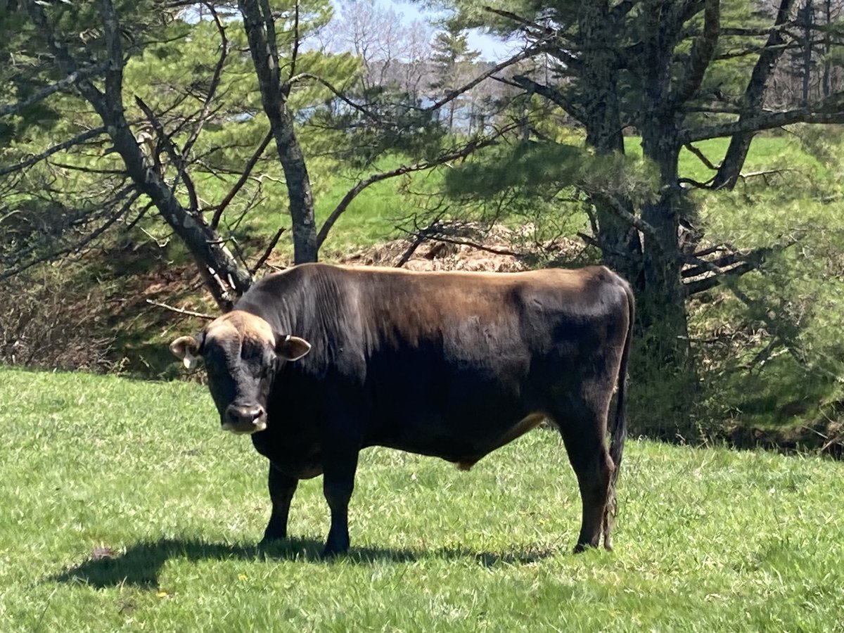 Holt Creek Jerseys tweet media