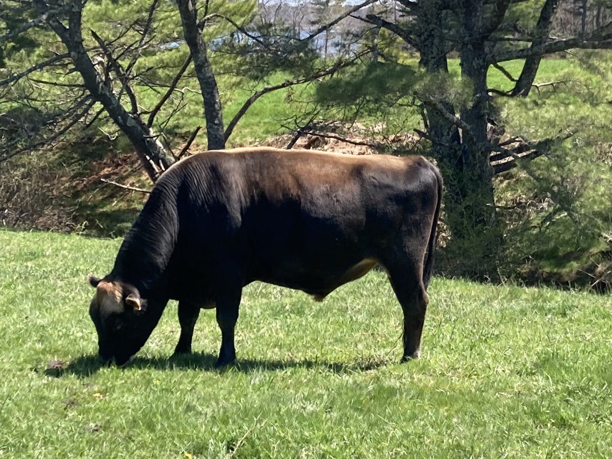 Holt Creek Jerseys tweet media