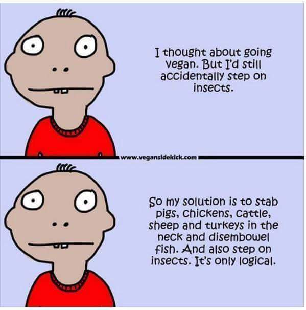 herbivore_club's tweet photo. It's only logical 🤪

📷 VeganSideKick https://t.co/BAeDt1wNc0