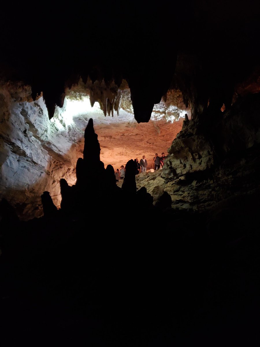 I can't get over how much beauty there is here at @MammothCaveNP ! I need to come back next year with #STEAMinthePark and @dacia92 to absorb that much more information!