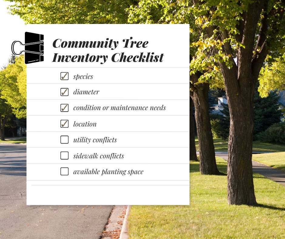 SGSF_Forests's tweet image. To effectively manage community trees, a tree inventory is a valuable tool and is an essential first step in developing a management plan. Learn more at bit.ly/3WH7LwL

#UrbanForestry #CommunityTrees
