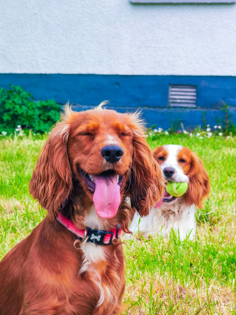 Going to bed after a productive and happy day ☀