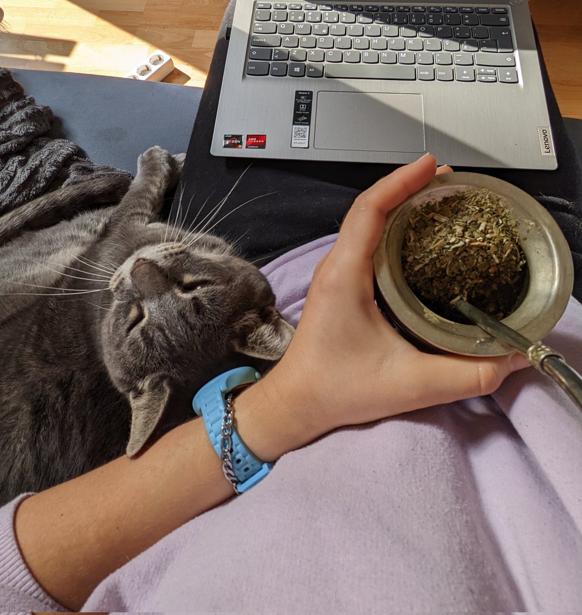 morelet's tweet photo. Creo que no hay un día en que no le saque una foto a mí gata. Acá los últimos 4 días 👇🏽 https://t.co/LICNBDozzc