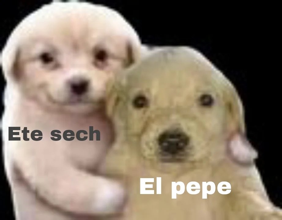 CarlosDamacen's tweet photo. hola papus

https://t.co/ezWxXhyYnf https://t.co/yARYZdIXae