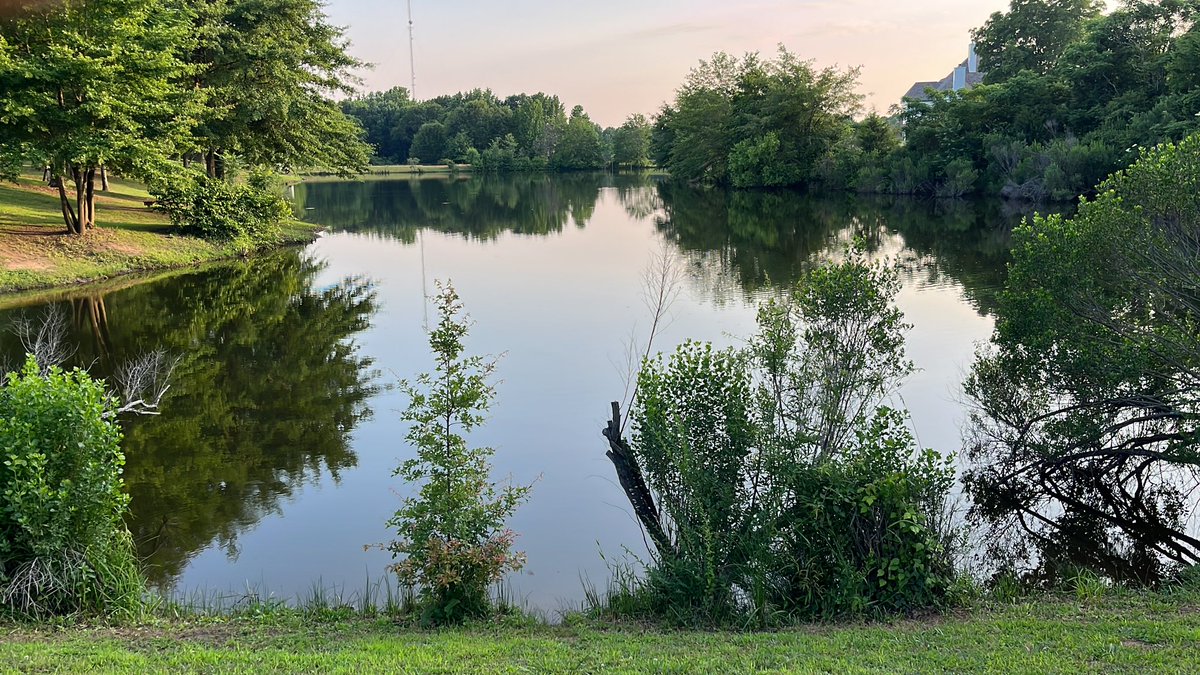 I hear 👂 birds 🐦 ducks 🦆 crickets 🦗, frogs 🐸 and see green.  Blessed 😇