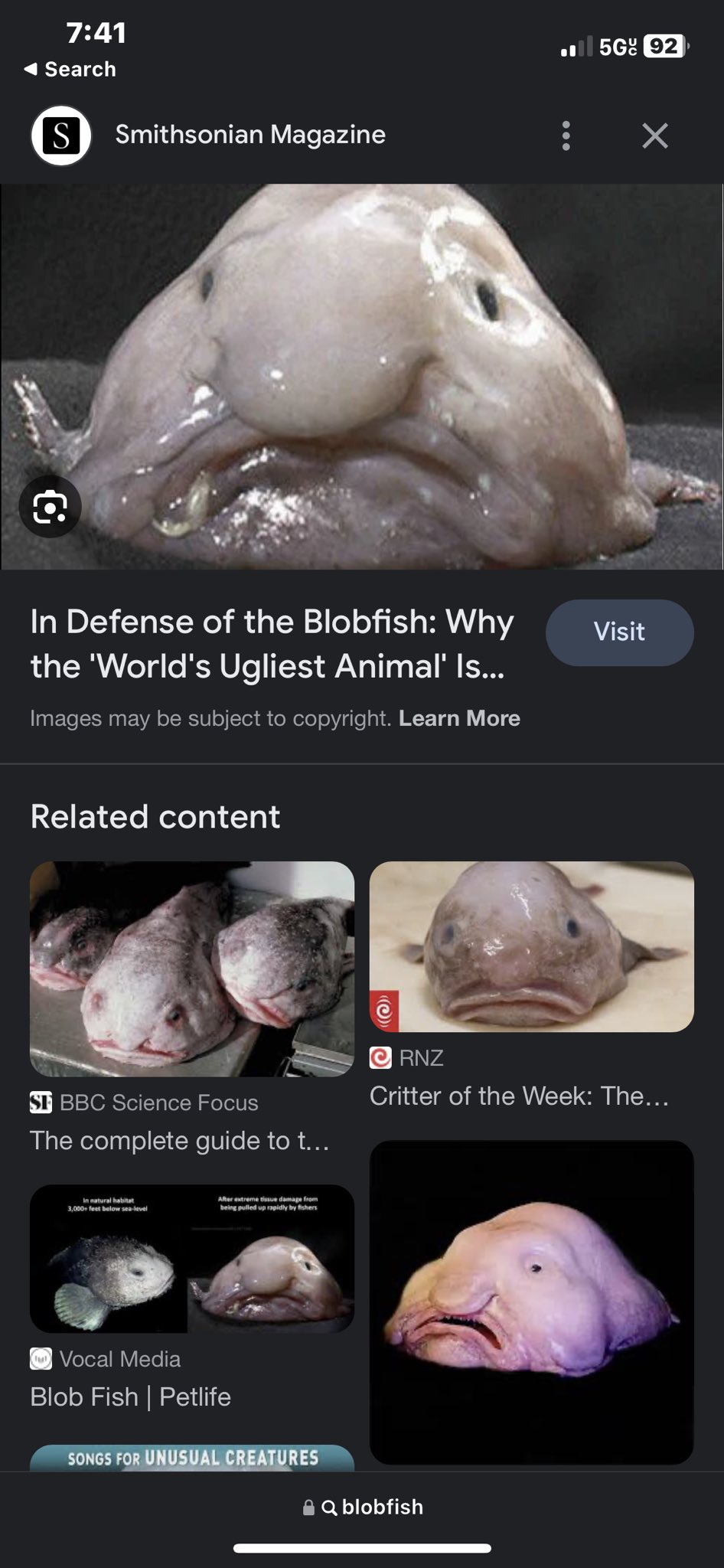 Blobfish: Facts about the world's ugliest animal - BBC Science