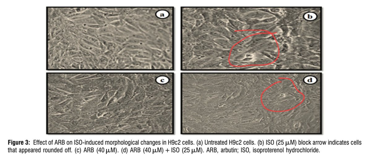 celldoctor's tweet photo. @MicrobiomDigest https://t.co/yEuzPLoXdE