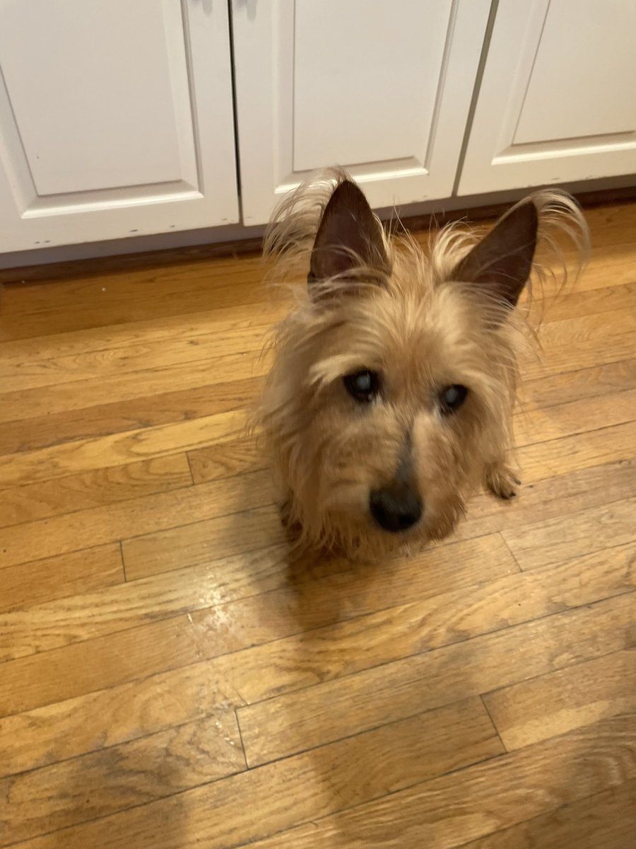 WinstonTapper tweet media