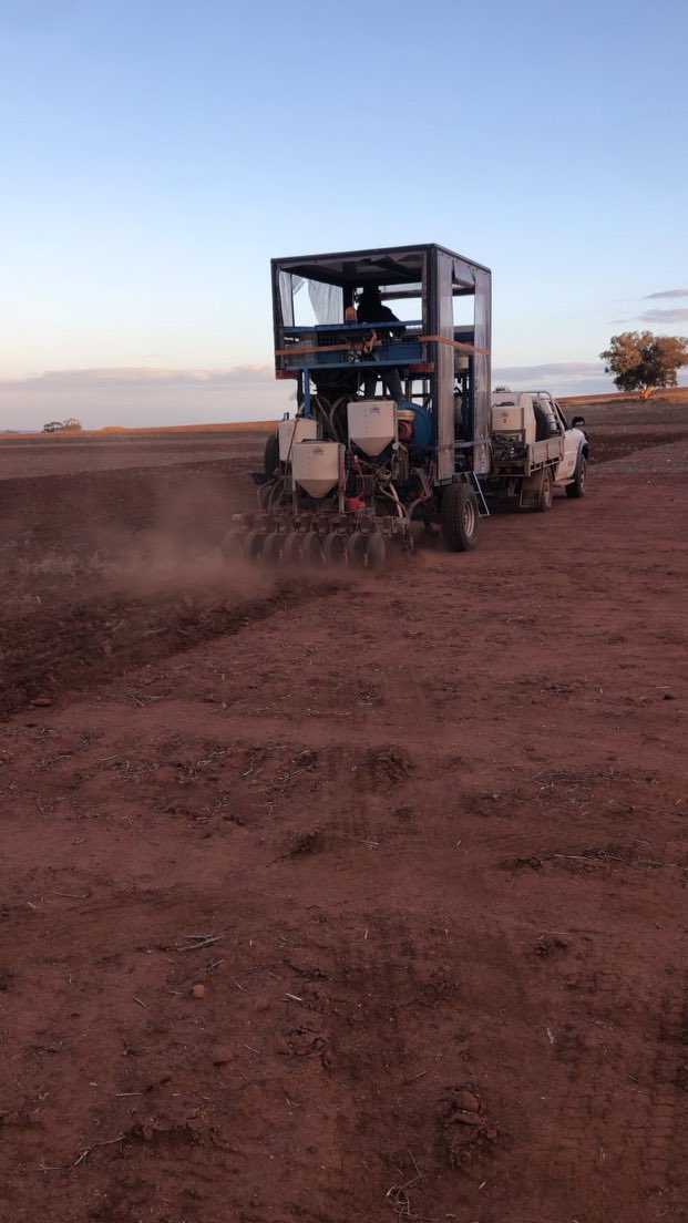 AloscaTech's tweet photo. Thanks to @DavidGrayAglink and @deltaagribus ALOSCA product development trials are underway in WA. Great things ahead!
#ALOSCA #inoculants #newproducts #Agriculture https://t.co/aEsNf1zQ8v